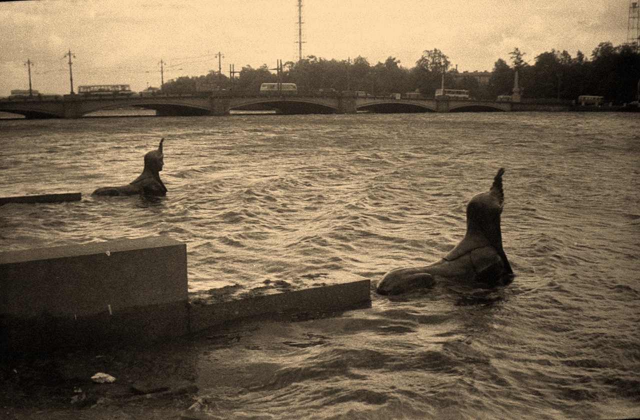 Наводнение 1955 года в Петербурге Ленинград