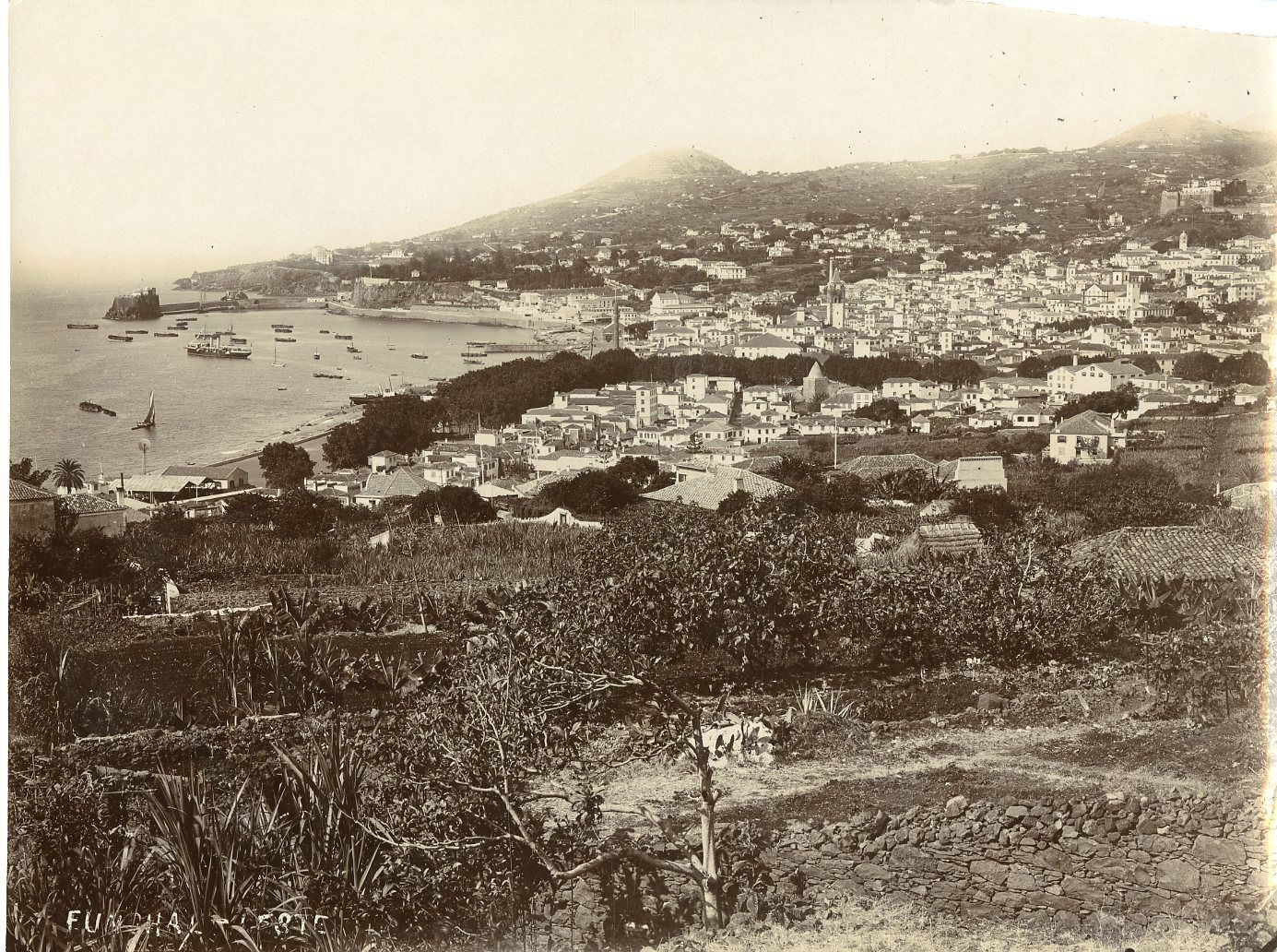 1900 00. Мадейра в конце 19 века. Португалия Мадейра 19 век. Остров Мадейра 19 век. Мадейра Фуншал фото 19 век.